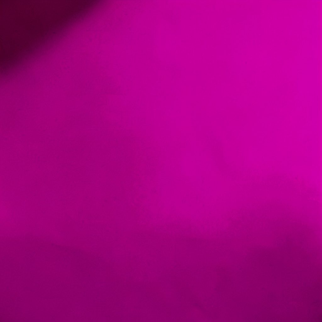 Imagen en duotono verde salvia y blanco de un navegador web abstracto con marcas de verificación